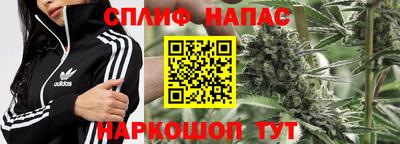 хмурый Донской